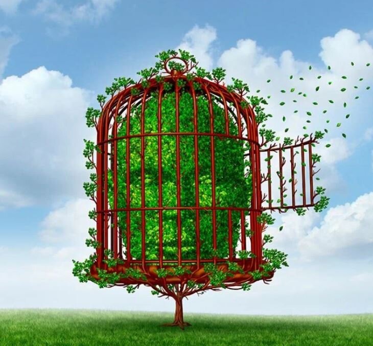 Освободить сознание от клетки ума!