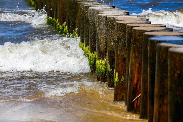   Фото из архива Калининград.Ru