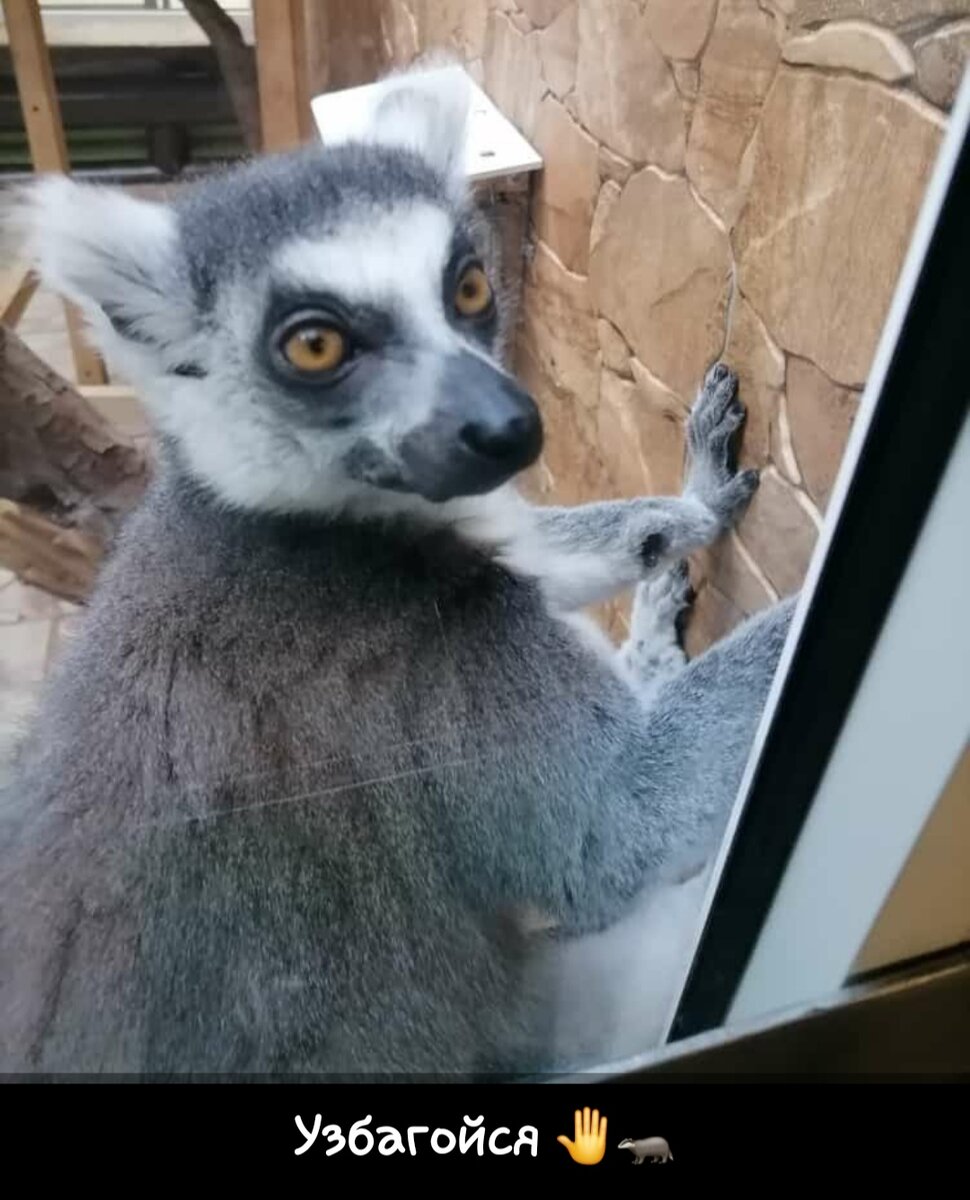 Я спокойна, я довлю Дзен😅. Мои фото
