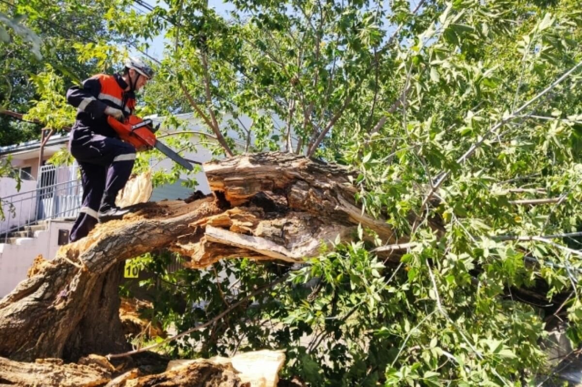    Шквалистый ветер в Ставрополе сохранится до конца недели