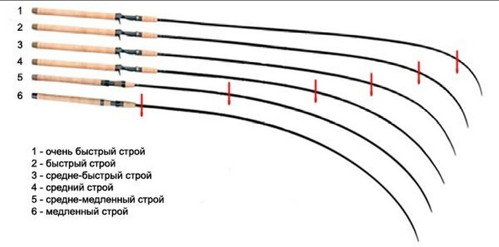 Статистические строя спиннинга.