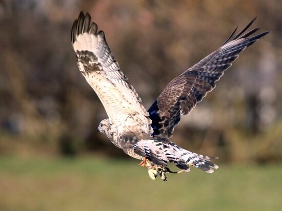   Геннадий Черкасов