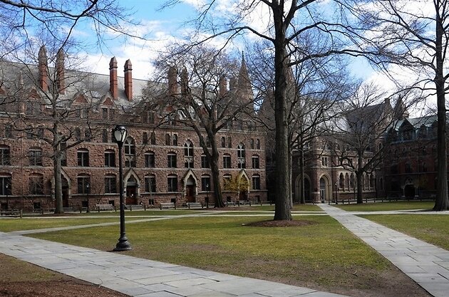 Источник фото: https://yandex.ru/images/search