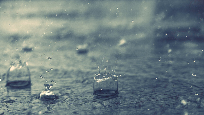   Gettyimages.ru Shivani Anand / EyeEm