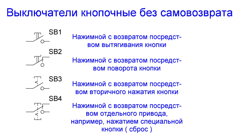 ЕГЭ 2025. Февраль . Биология. Вариант 7