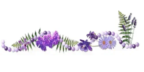 Фото из открытых источников в сети