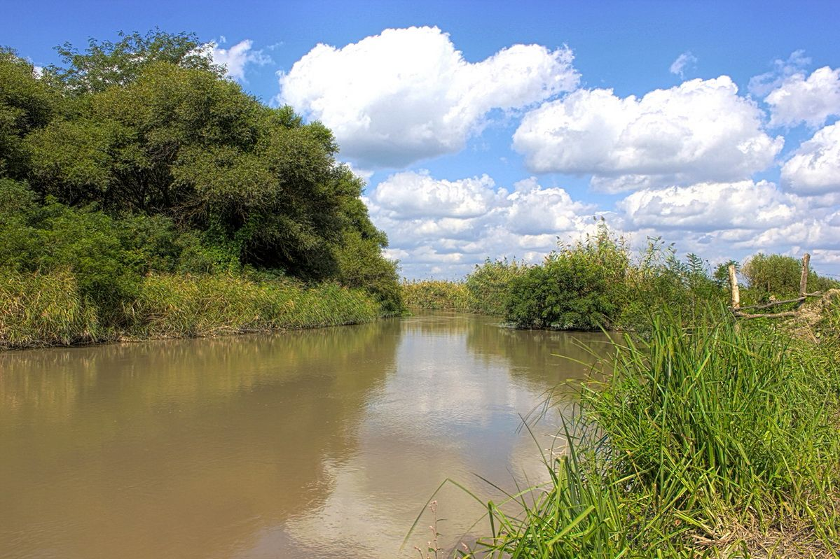 Источник Яндекс Картинки