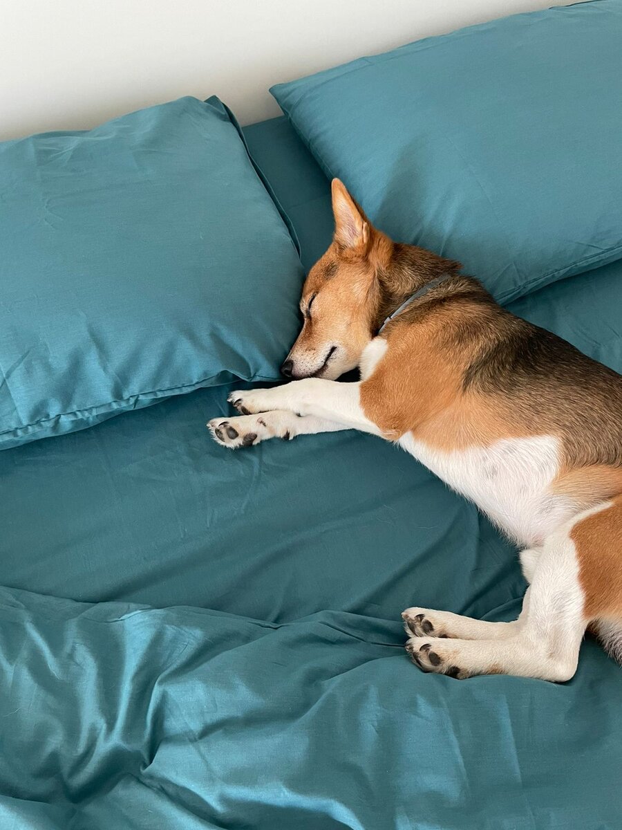 Постельное белье Urban Family 