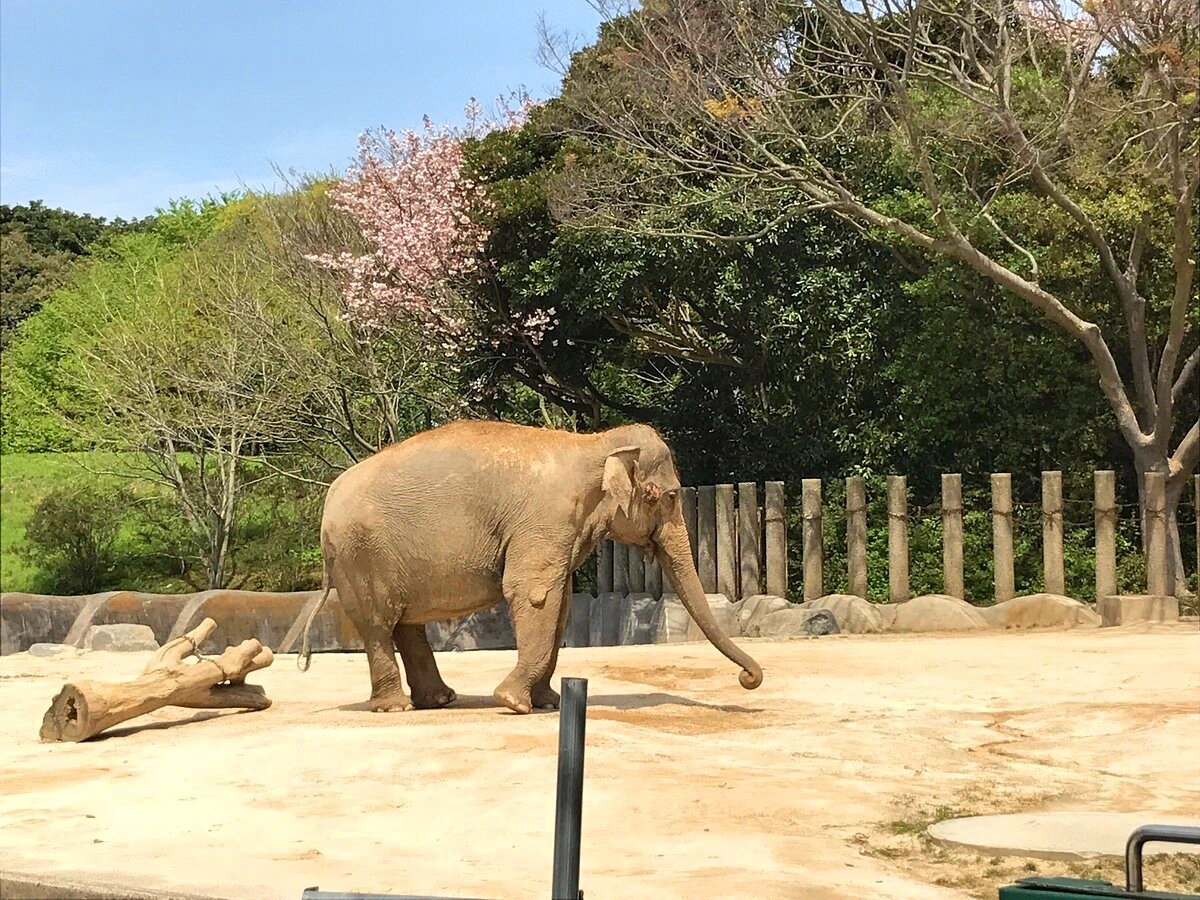 Chiba Zoological Park