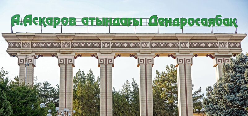 К ступеням лестницы у центрального входа в парк постоянно подъезжают свадебные кортежи, и молодожёны устраивают фотосессии. По видимому, это один из обязательных пунктов местной свадебной программы))