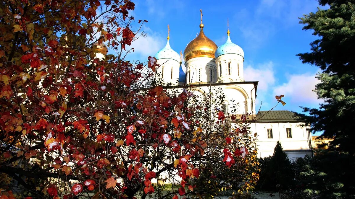 В каждый день поминовения молитва считается обязательной. Фото: pxhere.com
