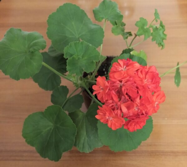    Фото: Екатерина Иванова