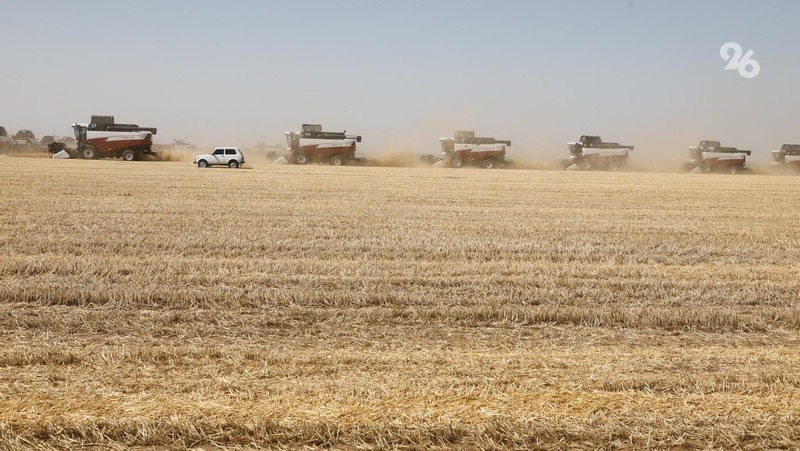 Фото: ИА «Победа26»