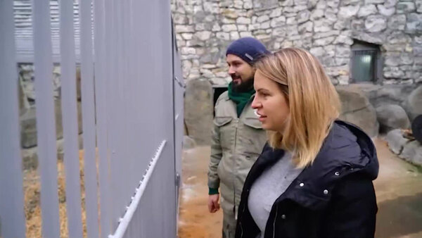 Спасённый на острове Диксон медведь впервые искупался в бассейне. Видео © Telegram / Светлана Акулова