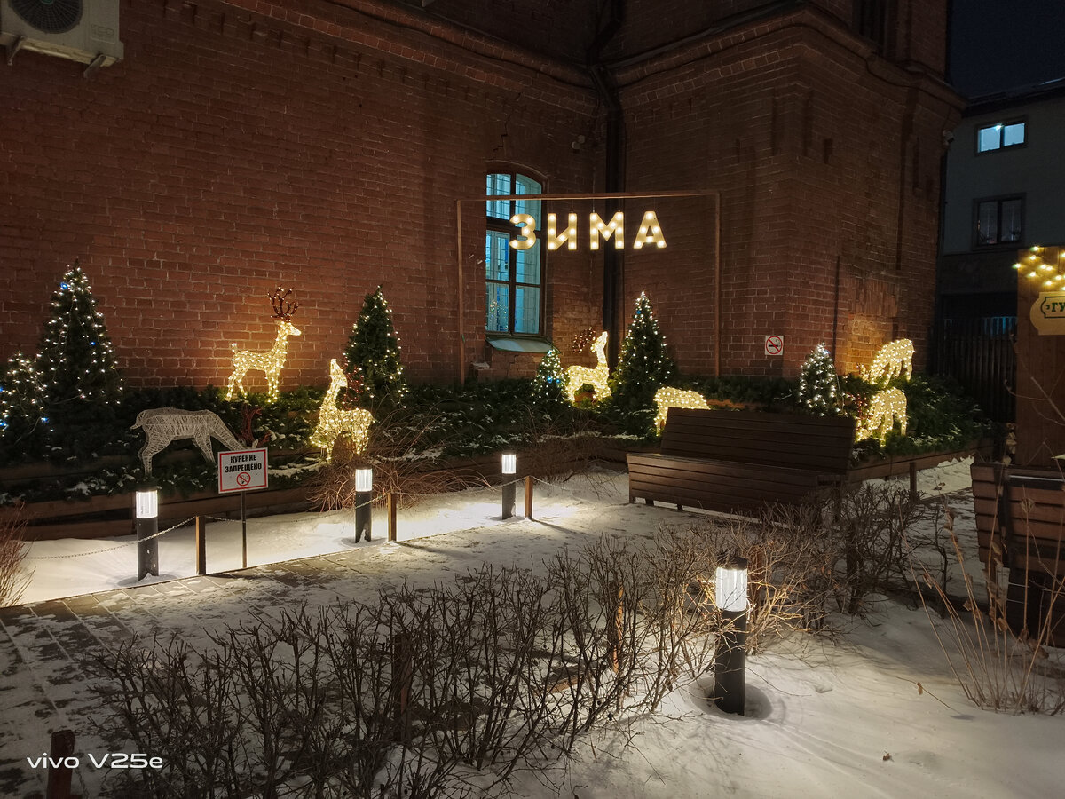 У основной камеры V25e ночной режим тоже есть. На улице совсем темно было, когда я эти фото делала, а они всё равно светлые. И цвета камера круто передаёт