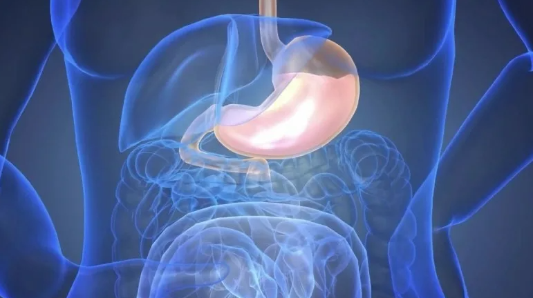 Изжога, кислая отрыжка, загрудинная боль, сухость в горле, вздутие ...