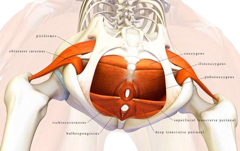 Фото до и после интимной пластики | Damas Medical Center