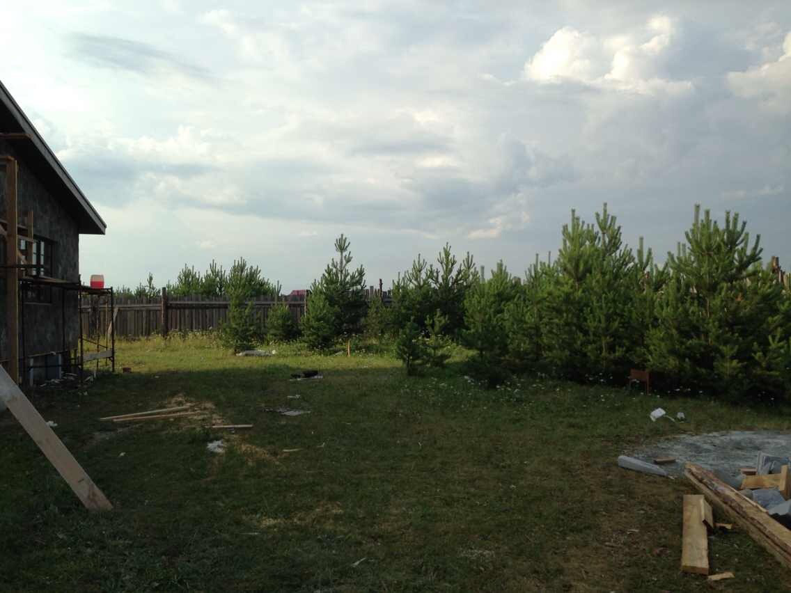 2014 год, вокруг дома строительный мусор, сосны еще маленькие