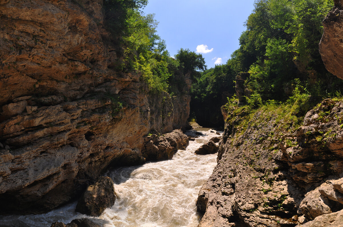 Автор: Хохлова Ольга