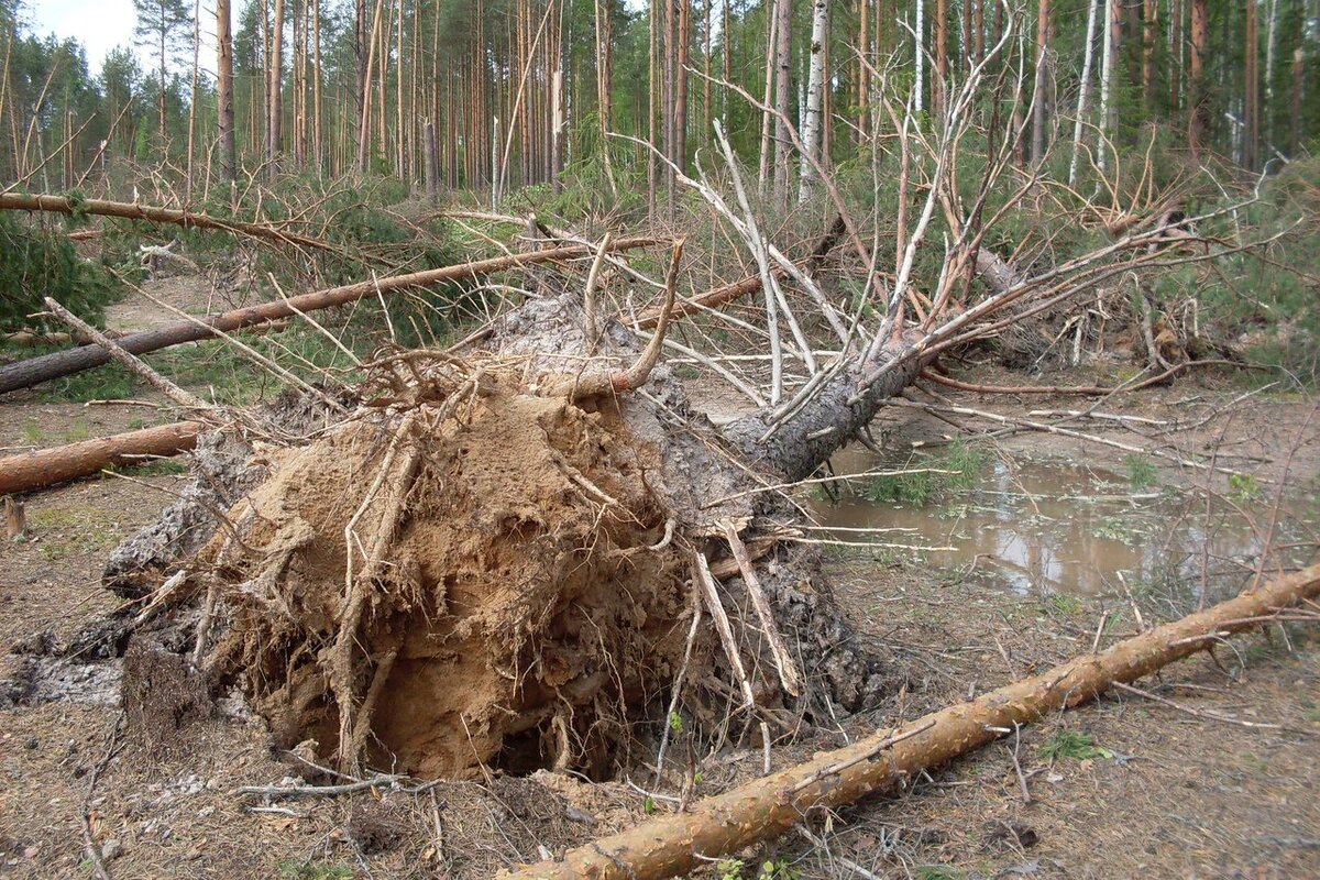Источник фото: - Яндекс картинки. Так, как правило заканчивается. 