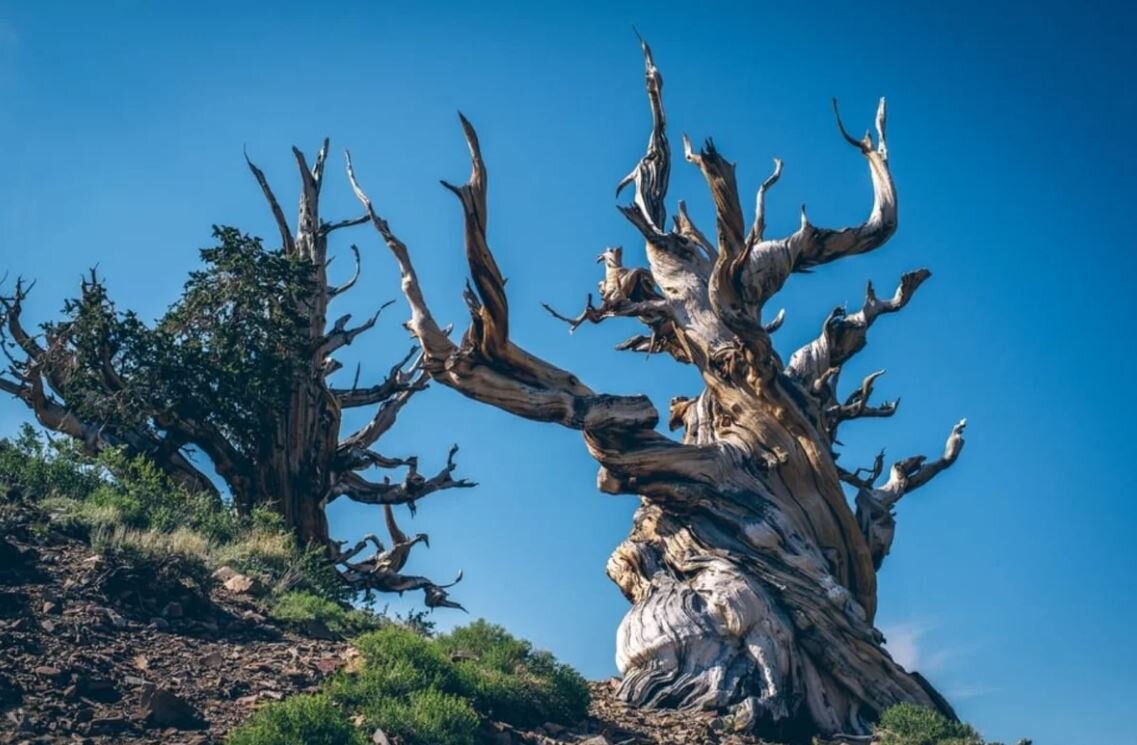 Изображение из открытых источников