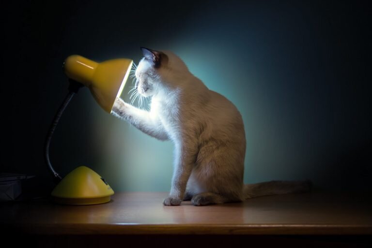 📌Все права на представленные в статье фотографии, принадлежит только их владельцам. Все фотографии взяты из открытых источников📌.