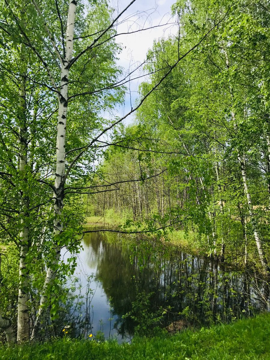 По дороге в монастырь