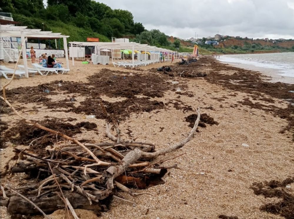 Последствия непогоды на севастопольском пляже "Учкуевка". Источник: vk.com/ohsev