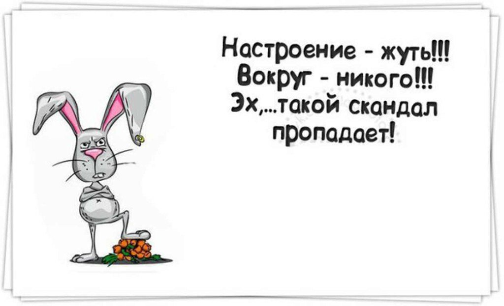 Юмористические картинки для поднятия настроения