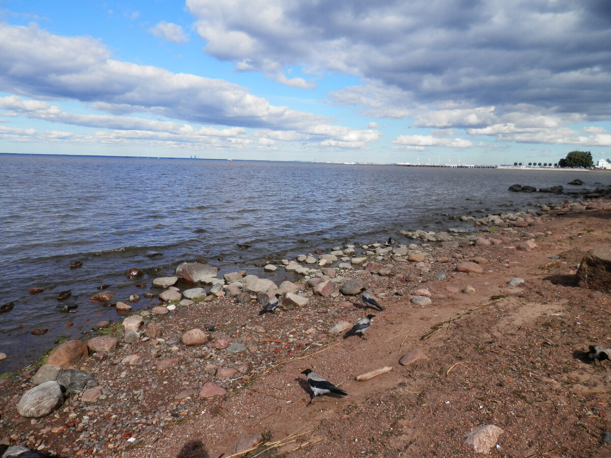 Море из той поездки