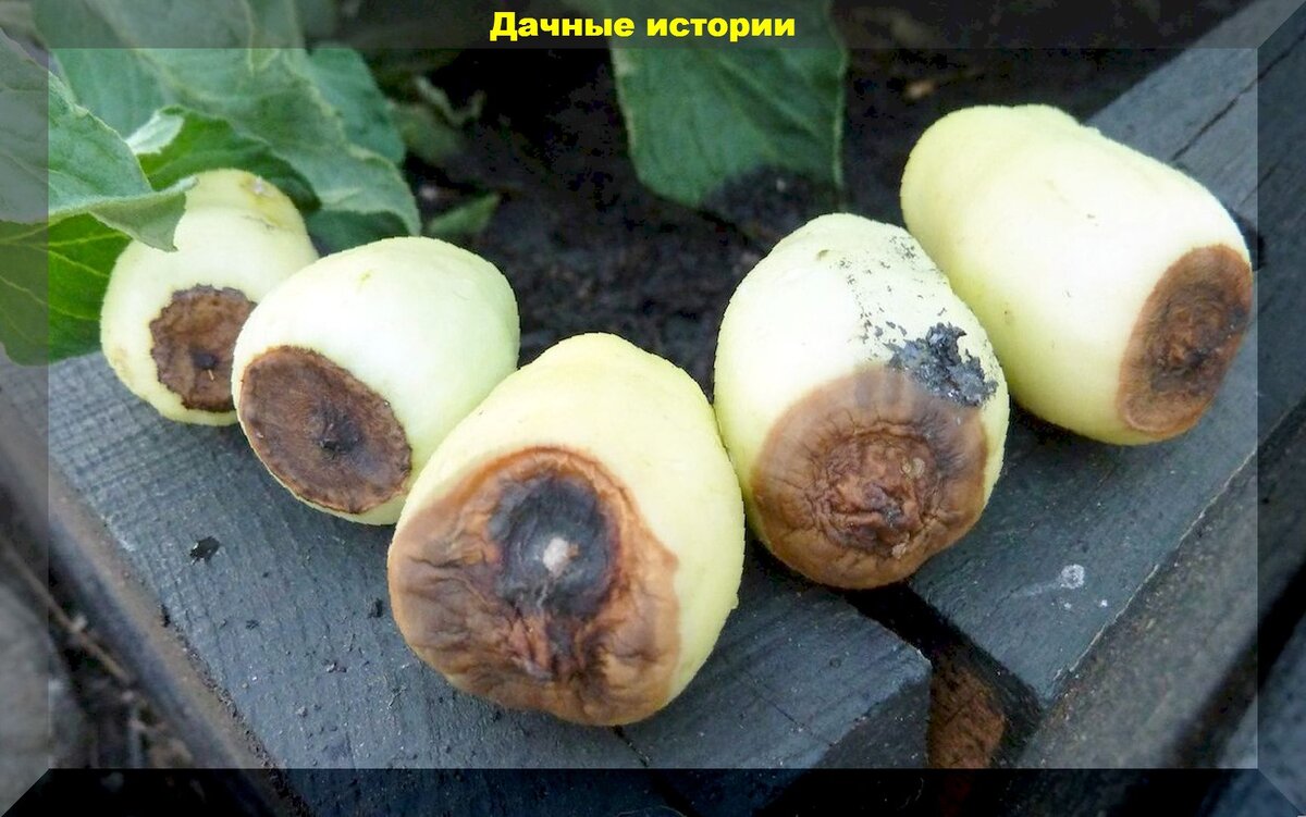 https://vk.com/photo-159774511_457248392