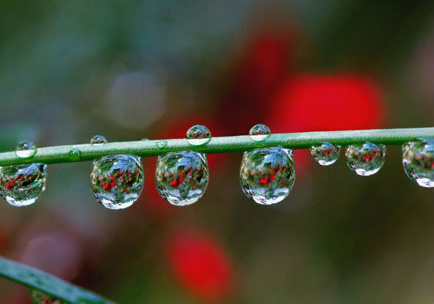 Рис. 1. Чуть больше капли АСД – 2 надо, чтобы вода в этой цистерне стала травматином.
Рис 2. Объем АСД-2, необходимый для создания целого железнодорожного эшелона цистерн с травматином.