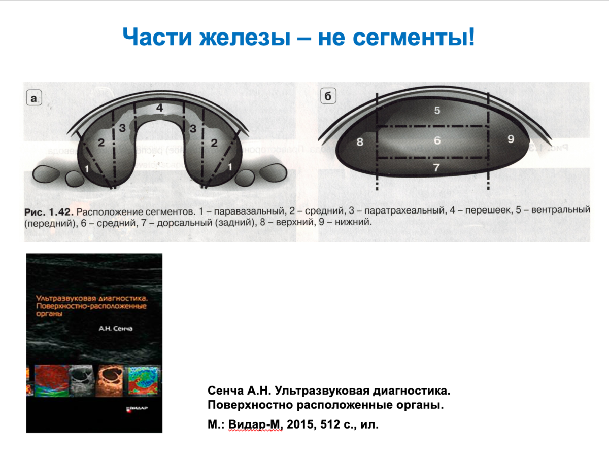 Что делать, если щитовидка «барахлит»