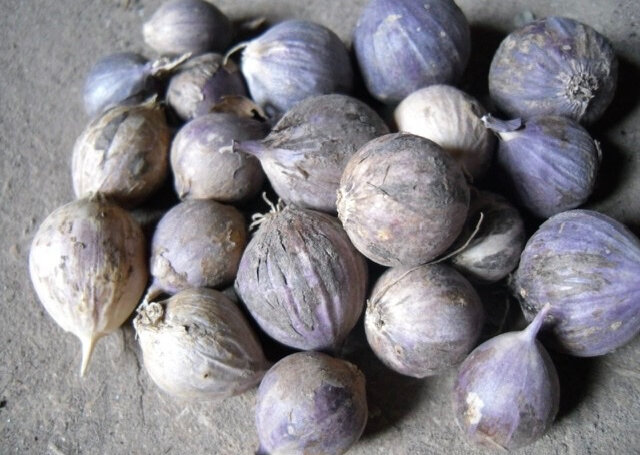 ИДЕАЛЬНЫЙ ПОСАДОЧНЫЙ МАТЕРИАЛ