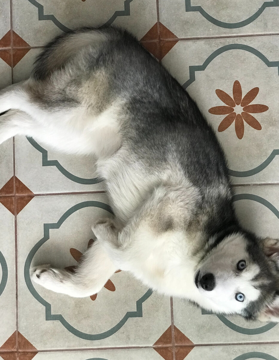 Фотография сделана автором канала.