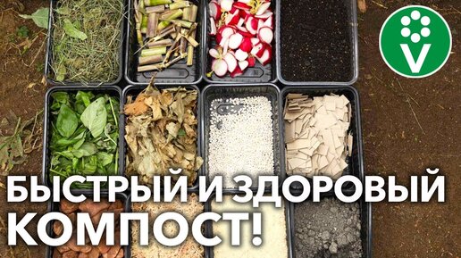 КОМПОСТ СОЗРЕЕТ В РАЗЫ БЫСТРЕЕ, если используете ЭТИ компоненты!