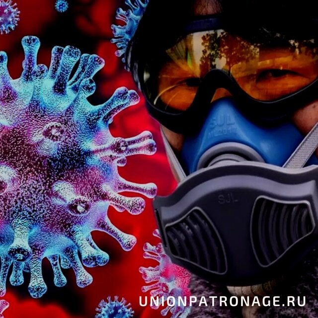 Фото взято из открытых источников 