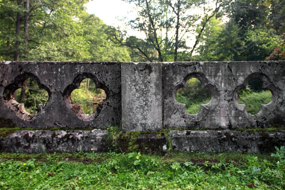 Олений мост осенью 2019 года