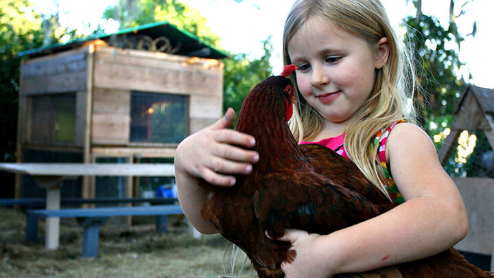 ФОТО: RIAL, MARTHA / GLOBALLOOKPRESS 