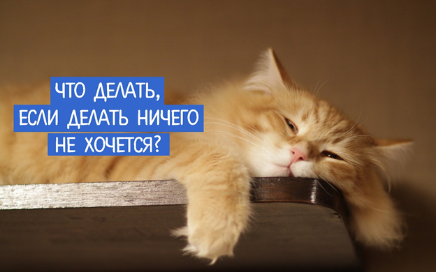 Источник: http://www.transurfing-real.ru/2016/10/blog-post_279.html