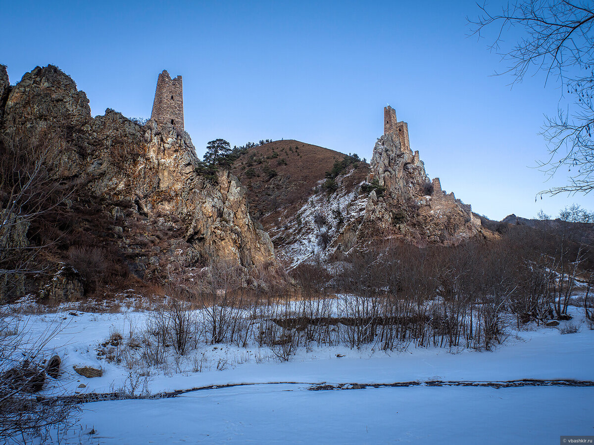 Вовнушки. Фото: © Виктор Башкир