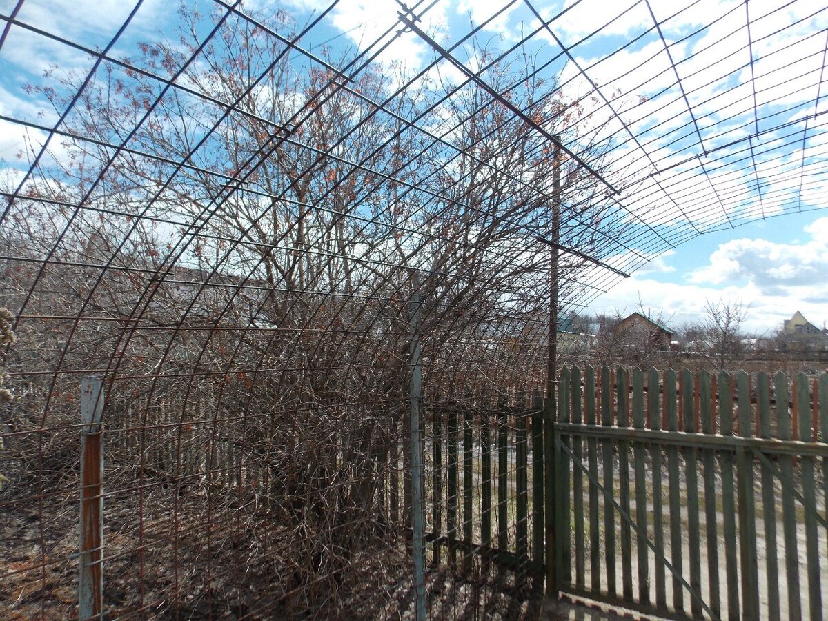 Входная зона