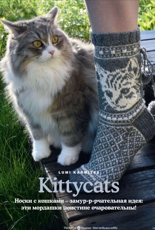 Вязаные носки с кошкой (источник: Knitter 12 номер утекающего года)