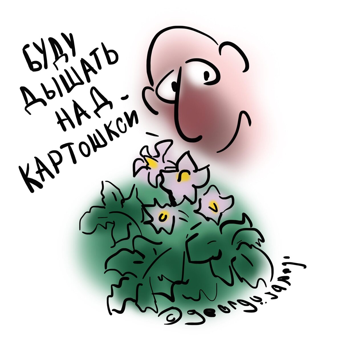 Картошка