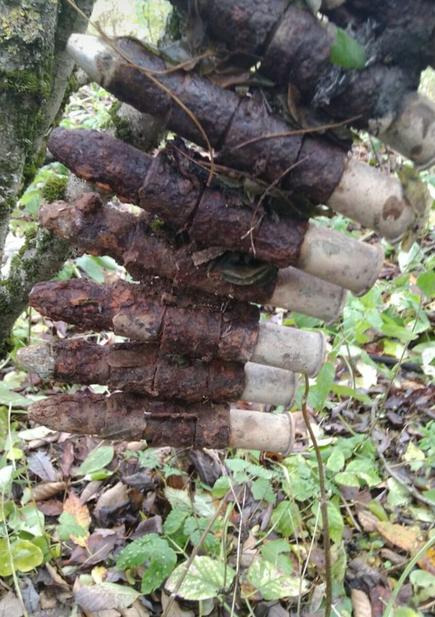 лента от швак 20мм пушка