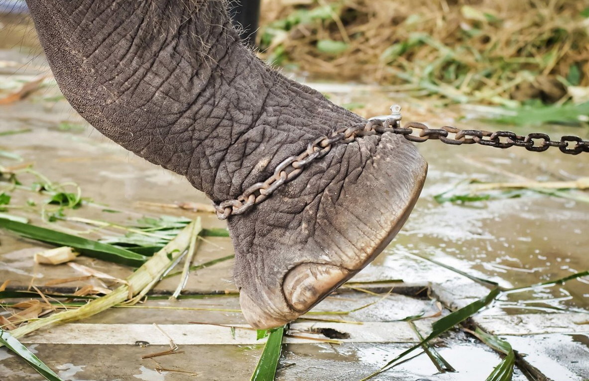 заимствовано с сайта fotostrana.ru