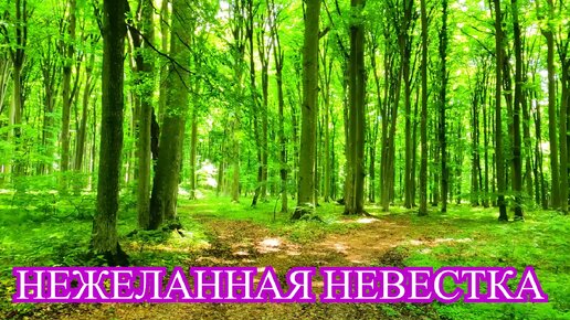 Нежеланная невестка