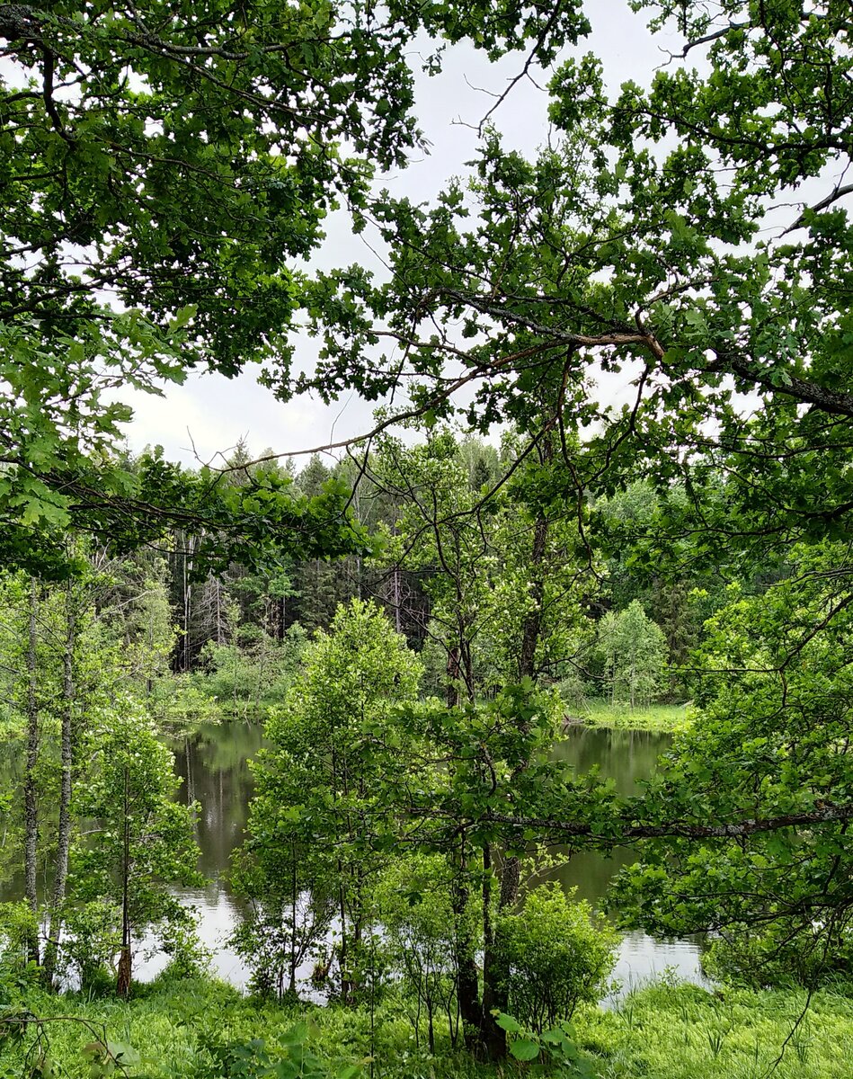 Русалочьи озера, верхнее озеро, Ивановская область, фото автора