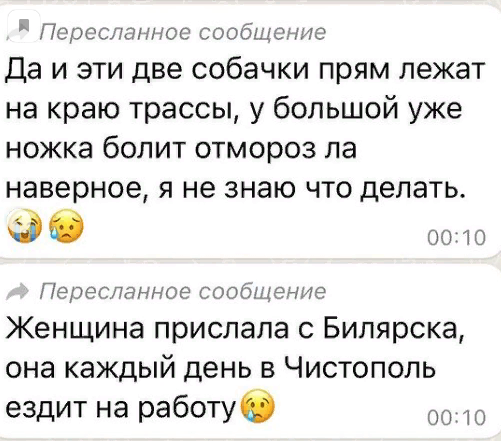 «Я глухая и работаю таксисткой»: девушка, которая сломала все стереотипы