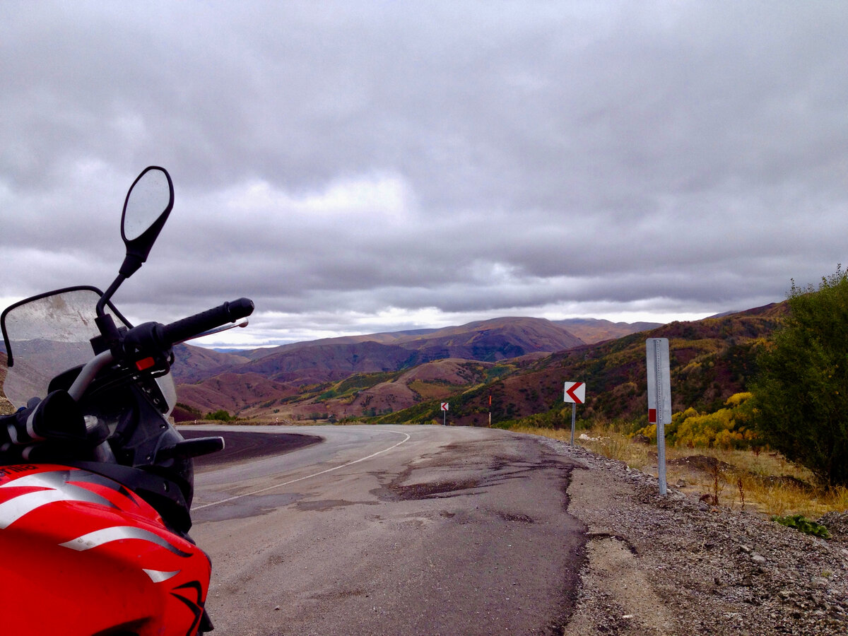 Волчий поворот